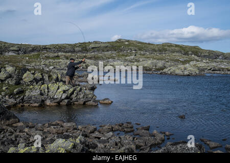 Forellen Fliegenfischen in einem See, Nationalpark Hardangervidda-Norwegen Stockfoto