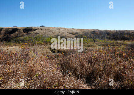 Creek-Tal in Wanuskewin Heritage Park Saskatoon Saskatchewan Kanada Stockfoto