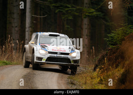 Cerrigydrudion, Wales. 16. November 2014. FIA World Rally Championship, Wales Rallye GB. Andreas Mikkelsen und Ola Floene Norwegens treten im Volkswagen Motorsport II Polo R WRC in der Alwen 1 Phase auf vier Tage. Bildnachweis: Aktion Plus Sport/Alamy Live-Nachrichten Stockfoto