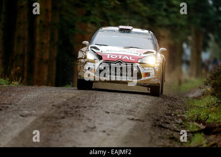 Cerrigydrudion, Wales. 16. November 2014. FIA World Rally Championship, Wales Rallye GB. Kris Meeke Großbritanniens und Paul Nagle Irlands konkurrieren in der Citroën Total Abu Dhabi DS3 WRC während der Alwen 1 Etappe am Tag vier. Bildnachweis: Aktion Plus Sport/Alamy Live-Nachrichten Stockfoto