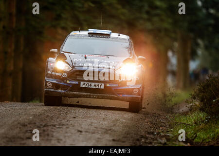 Cerrigydrudion, Wales. 16. November 2014. FIA World Rally Championship, Wales Rallye GB. Mikko Hirvonen und Jarmo Lehtinen Finnlands konkurrieren in der M-Sport Ford Fiesta RS WRC während der Alwen 1 Etappe am Tag vier. Bildnachweis: Aktion Plus Sport/Alamy Live-Nachrichten Stockfoto