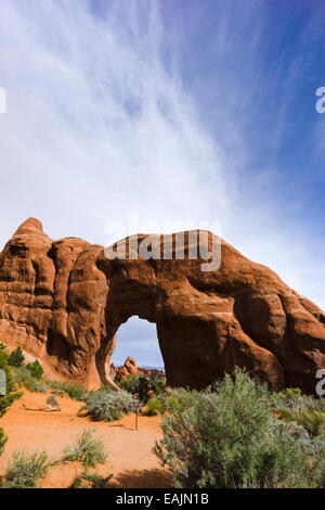 Pine Tree Arch Arches-Nationalpark, Moab, Utah, USA. Stockfoto