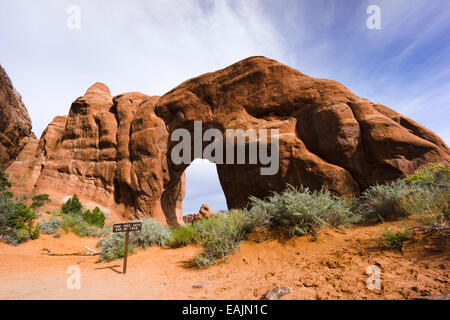 Pine Tree Arch Arches-Nationalpark, Moab, Utah, USA. Stockfoto