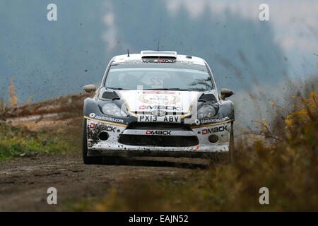 Cerrigydrudion, Wales. 16. November 2014. FIA World Rally Championship, Wales Rallye GB. Ott Tänak und Raigo Verarbeiter von Estland konkurrieren in einem Ford Fiesta RS WRC während der Alwen 2 Etappe am Tag vier. Bildnachweis: Aktion Plus Sport/Alamy Live-Nachrichten Stockfoto