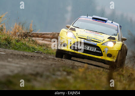 Cerrigydrudion, Wales. 16. November 2014. FIA World Rally Championship, Wales Rallye GB. Matthew Wilson und Scott Martin von Großbritannien konkurrieren in der Michelin Pilot Sport Ford Fiesta RRC während der Alwen 2 Etappe am Tag vier. Bildnachweis: Aktion Plus Sport/Alamy Live-Nachrichten Stockfoto