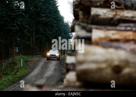 Cerrigydrudion, Wales. 16. November 2014. FIA World Rally Championship, Wales Rallye GB. Elfyn Evans und Daniel Barritt von Großbritannien konkurrieren während der Alwen 1 Etappe am Tag vier in der M-Sport Ford Fiesta RS WRC. Bildnachweis: Aktion Plus Sport/Alamy Live-Nachrichten Stockfoto