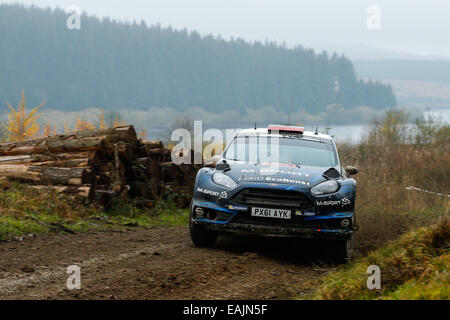 Cerrigydrudion, Wales. 16. November 2014. FIA World Rally Championship, Wales Rallye GB. Elfyn Evans und Daniel Barritt von Großbritannien konkurrieren während der Alwen 2 Etappe am Tag vier in der M-Sport Ford Fiesta RS WRC. Bildnachweis: Aktion Plus Sport/Alamy Live-Nachrichten Stockfoto