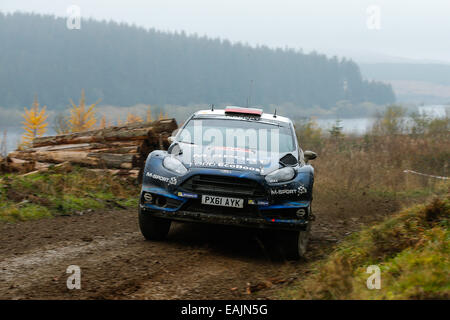 Cerrigydrudion, Wales. 16. November 2014. FIA World Rally Championship, Wales Rallye GB. Elfyn Evans und Daniel Barritt von Großbritannien konkurrieren während der Alwen 2 Etappe am Tag vier in der M-Sport Ford Fiesta RS WRC. Bildnachweis: Aktion Plus Sport/Alamy Live-Nachrichten Stockfoto