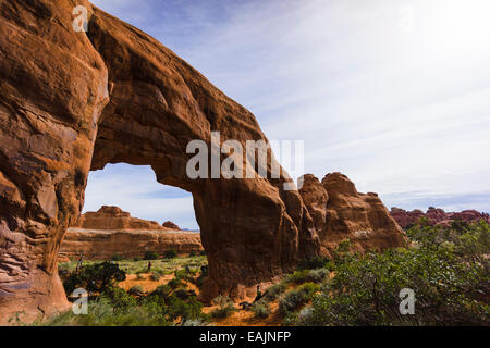 Pine Tree Arch Arches-Nationalpark, Moab, Utah, USA. Stockfoto