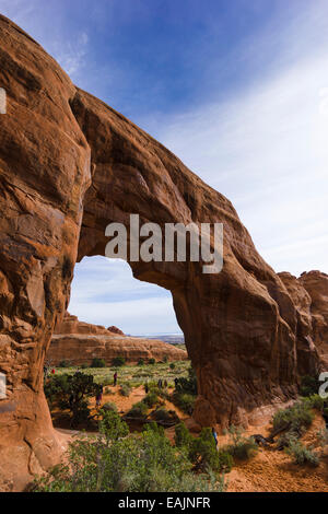 Pine Tree Arch Arches-Nationalpark, Moab, Utah, USA. Stockfoto