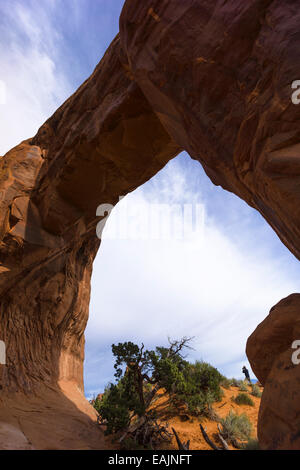 Pine Tree Arch Arches-Nationalpark, Moab, Utah, USA. Stockfoto