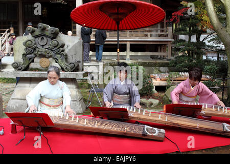 Japanerinnen im Kimono spielen Koto (japanische traditionelle Instrument) im japanischen Garten Stockfoto