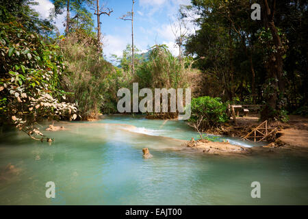 Ein Blick auf die schönen smaragdgrünen Wasser der Kuang Si Waterfalls, in der Nähe von Luang Prabang, Laos. Stockfoto