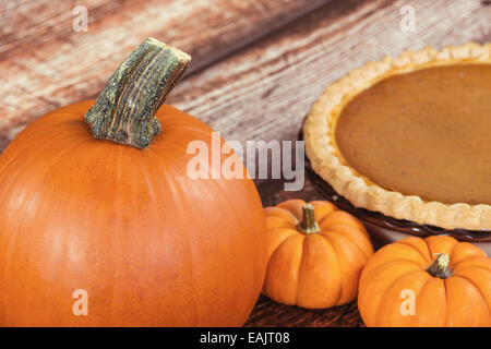 Nahaufnahme von Pumpkin Pie. Mini-Kürbisse und eine Torte auf dem Hintergrund auf Holztisch Stockfoto