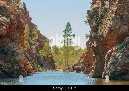 Ellery Creek Big Hole, West MacDonnells, NT, Australien Stockfoto