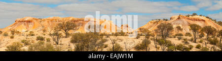 Painted Desert-Panorama, in der Nähe von Coober Pedy, Südaustralien, Australien Stockfoto