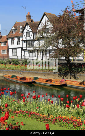 Riverside Häuser von Westgate Gärten River Walk entlang der Great River Stour, Canterbury, Kent, England Stockfoto