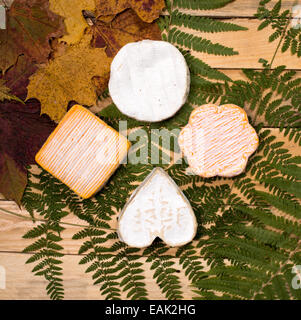 Französische Käsesorten platziert auf À Holztisch mit Herbstlaub Stockfoto