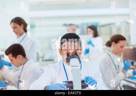 Wissenschaftler untersuchen Probe unter dem Mikroskop im Labor Stockfoto