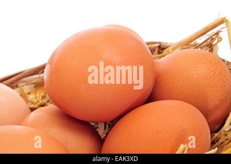 Closeup einige braune Eier in einen Korb mit Stroh auf weißem Hintergrund Stockfoto