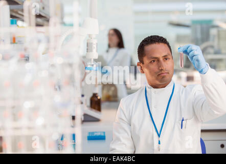 Wissenschaftler untersuchen Probe im Reagenzglas im Labor Stockfoto