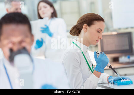 Wissenschaftler Pipettieren Probe in Fach im Labor Stockfoto