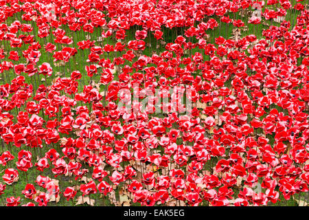 LONDON, UK - 08. NOVEMBER: Detail der Kunstinstallation von Paul Cummins Tower of London. 8. November 2014 in London. Die cerami Stockfoto