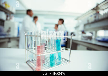 Nahaufnahme von Reagenzgläsern im Rack im Labor Stockfoto