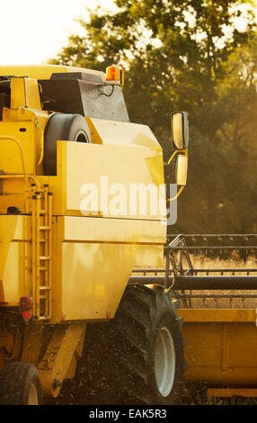 Combiner Ernte Weizenfeld im detail Stockfoto