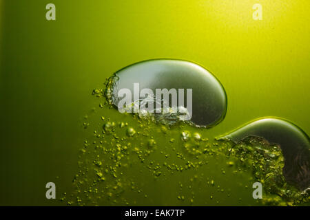 Aufsteigenden Luftblasen, Algenhaus, Algen-Haus, Internationale Bauausstellung, IBA Hamburg, Wilhelmsburg, Hamburg, Hamburg Stockfoto