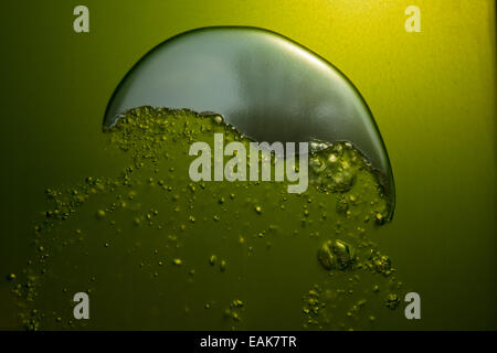 Aufsteigenden Luftblasen, Algenhaus, Algen-Haus, Internationale Bauausstellung, IBA Hamburg, Wilhelmsburg, Hamburg, Hamburg Stockfoto