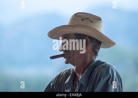Mann Rauchen einer Zigarre, Viñales, Pinar del Río Provinz, Kuba Stockfoto