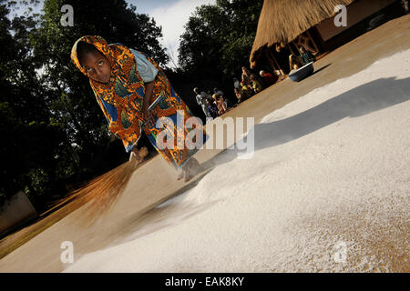 Junges Mädchen fegen Mehl zusammen auf dem Boden im Dorf Idool, Idool, Adamawa Region, Kamerun Stockfoto