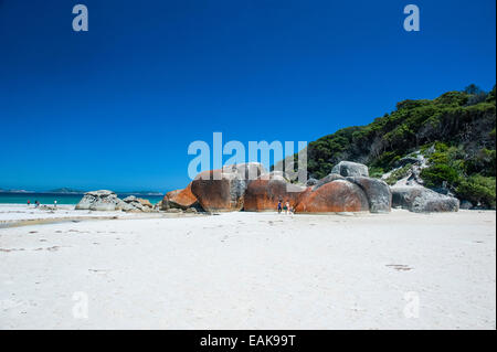 Norman Strand, Wilsons Promontory National Park, Victoria, Australien Stockfoto