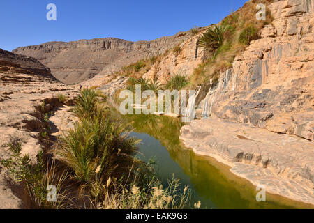 Wasser in ein Guelta Idaran Canyon, Iherir, Nationalpark Tassili n ' Ajjer, UNESCO-Weltkulturerbe, die Wüste Sahara, Algerien Stockfoto