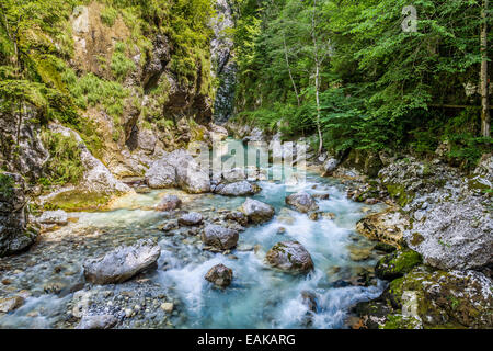 Tolmin-Schlucht, Smaragd Route Goriška Triglav Nationalpark, Tolmin, Slowenien Stockfoto