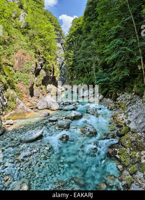 Tolmin-Schlucht, Smaragd Route, Nationalpark Triglav, Region Primorska, Slowenien, Tolmin, Goriška, Slowenien Stockfoto