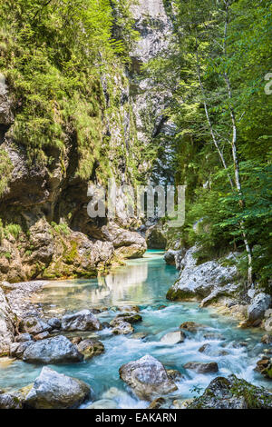 Tolmin-Schlucht, Smaragd Route, Nationalpark Triglav, Region Primorska, Slowenien, Tolmin, Goriška, Slowenien Stockfoto