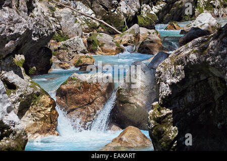 Tolmin-Schlucht, Smaragd Route, Nationalpark Triglav, Region Primorska, Slowenien, Tolmin, Goriška, Slowenien Stockfoto