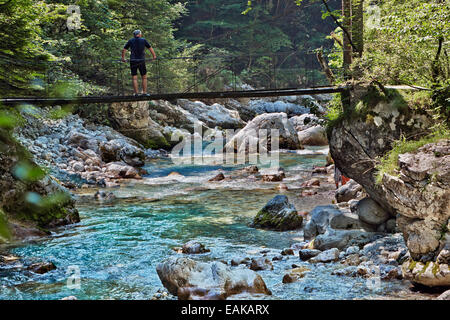 Tolmin-Schlucht, Smaragd Route Goriška Triglav Nationalpark, Tolmin, Slowenien Stockfoto