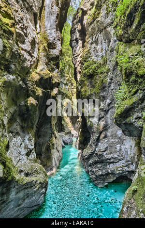 Tolmin-Schlucht, Smaragd Route Goriška Triglav Nationalpark, Tolmin, Slowenien Stockfoto