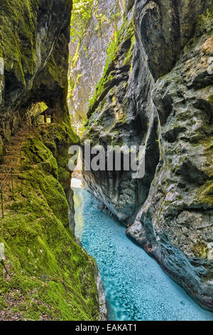 Tolmin-Schlucht, Smaragd Route Goriška Triglav Nationalpark, Tolmin, Slowenien Stockfoto