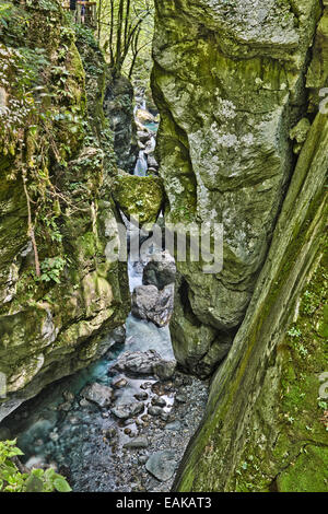 Bärenkopf, Tolminer Schlucht, Smaragd Route, Nationalpark Triglav, Tolmin, Goriška, Slowenien Stockfoto