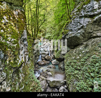 Tolmin-Schlucht, Smaragd Route Goriška Triglav Nationalpark, Tolmin, Slowenien Stockfoto