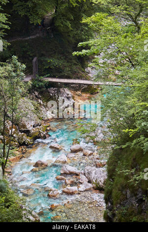 Tolmin-Schlucht, Smaragd Route Goriška Triglav Nationalpark, Tolmin, Slowenien Stockfoto