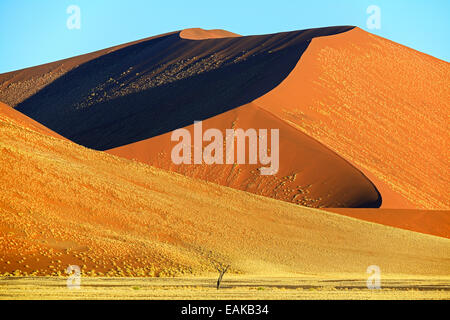 Riesigen Sanddünen am Abend Licht, Sossusvlei, Namib-Wüste Namib Naukluft Park, Namibia Stockfoto