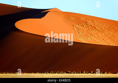 Riesige Sanddüne im Abendlicht, Namib Wüste, Sossusvlei, Namib Naukluft Park, Namibia Stockfoto