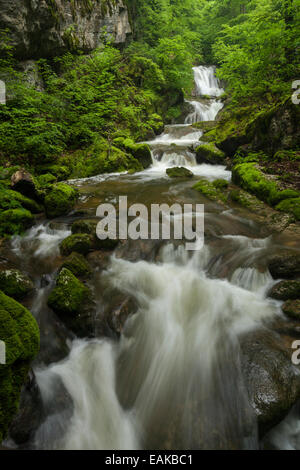 Wasserfall in der Twannbachschlucht Schlucht im Schweizer Jura, Biel, Kanton Solothurn, Schweiz Stockfoto