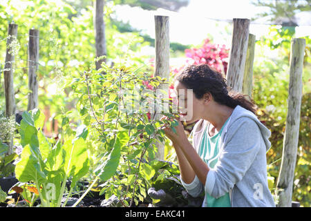 Junge Frau im sonnigen Garten Blumen riechen Stockfoto