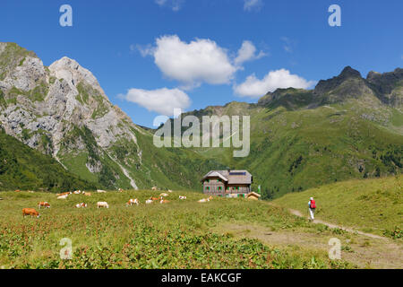 Hochweisssteinhaus Berghütte, Zwoelferspitz Berg auf der rechten Seite, Karnischen Alpen, Lesachtal, Bezirk Hermagor, Kärnten, Österreich Stockfoto